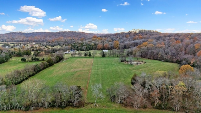 drone / aerial view featuring a rural view