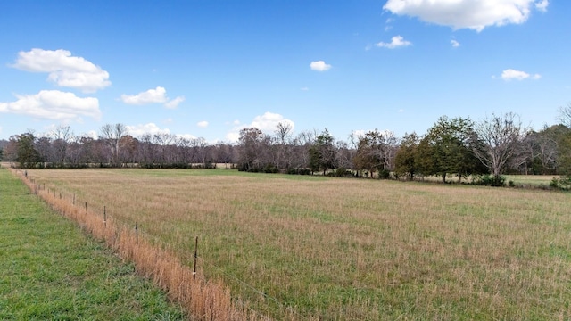 view of yard featuring a rural view