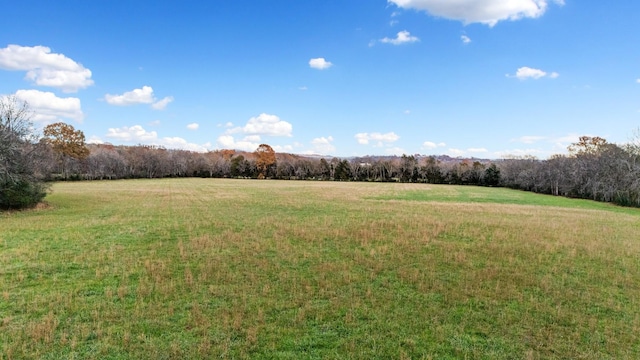 view of yard featuring a rural view