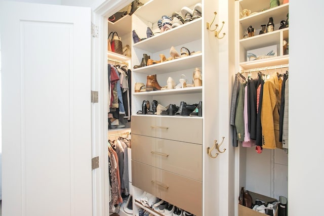 view of walk in closet