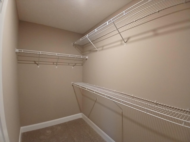 walk in closet with carpet