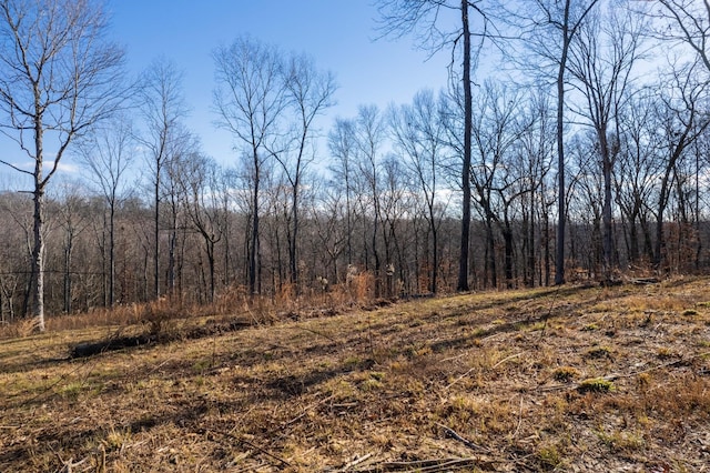 view of local wilderness