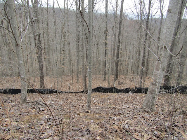 0 Bobcat Ln, Wilder TN, 38589 land for sale