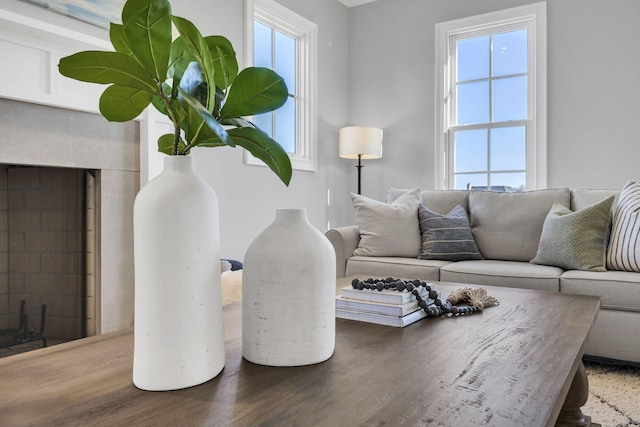 living room featuring hardwood / wood-style flooring