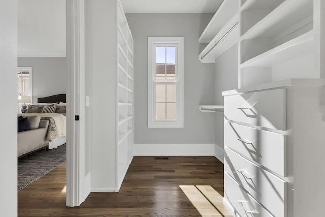 spacious closet featuring dark hardwood / wood-style flooring