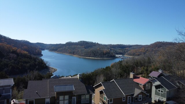 51 Hope Cv, Smithville, TN 37166 - photo 3