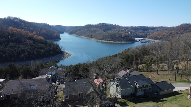 51 Hope Cv, Smithville, TN 37166 - photo 1