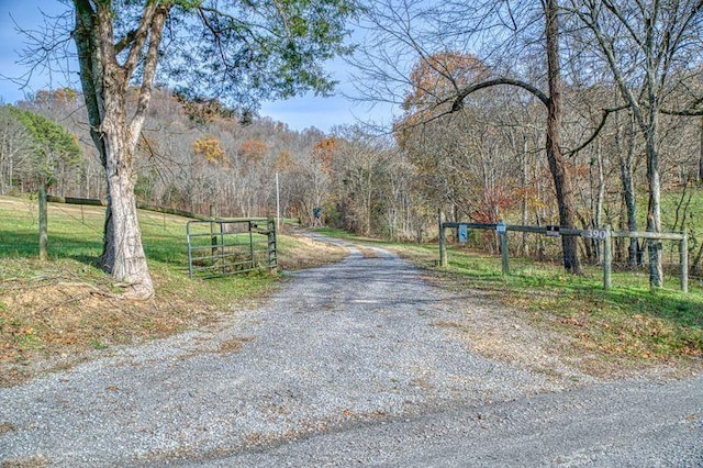 view of road