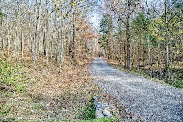 view of street