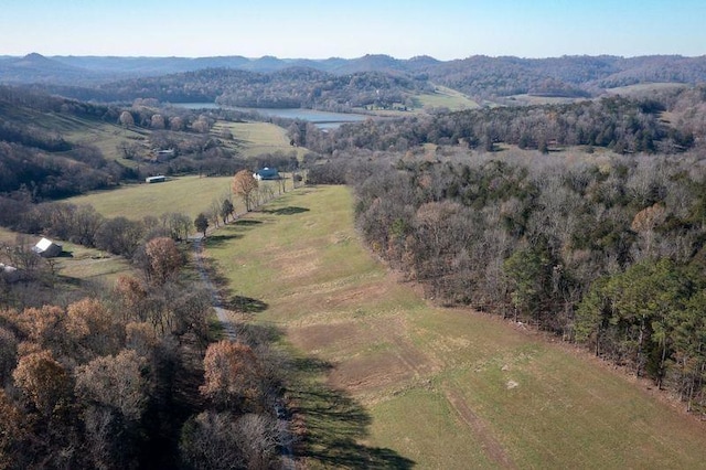 drone / aerial view featuring a mountain view