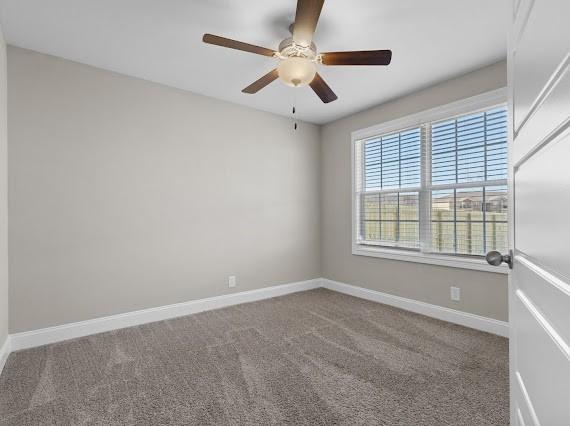 spare room with ceiling fan and carpet