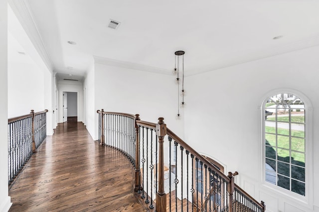 hall featuring crown molding and dark wood-type flooring