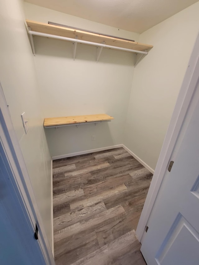 spacious closet featuring dark hardwood / wood-style floors