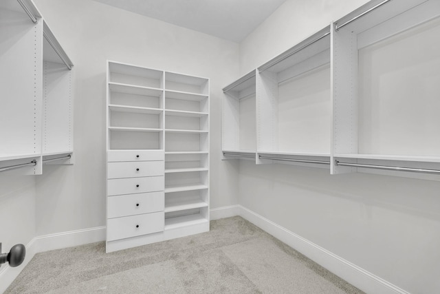 521 Matthew Miller Dr, Smyrna, TN 37167 - walk in closet with light carpet
