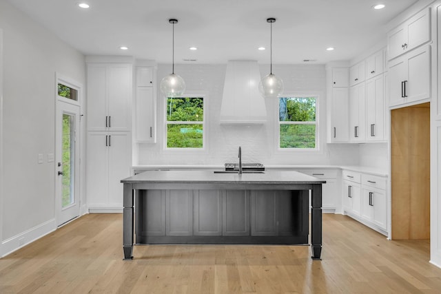 521 Matthew Miller Dr, Smyrna, TN 37167 - kitchen featuring healthy amount of natural light, premium range hood, tasteful backsplash, light wood-style flooring, and recessed lighting
