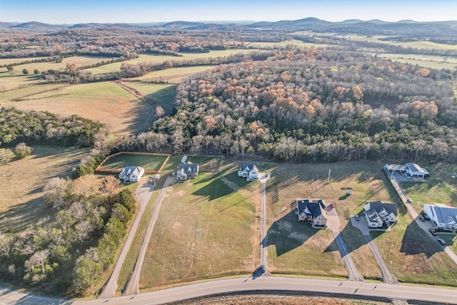 drone / aerial view featuring a mountain view