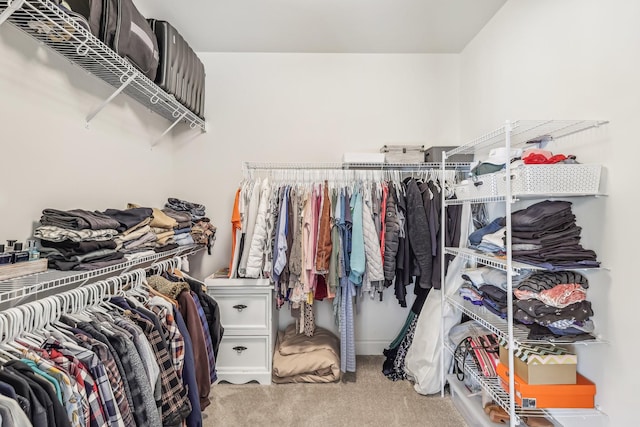 walk in closet featuring carpet