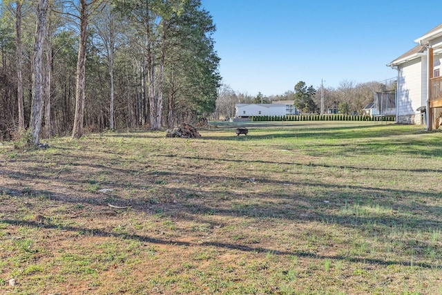 view of yard with a trampoline