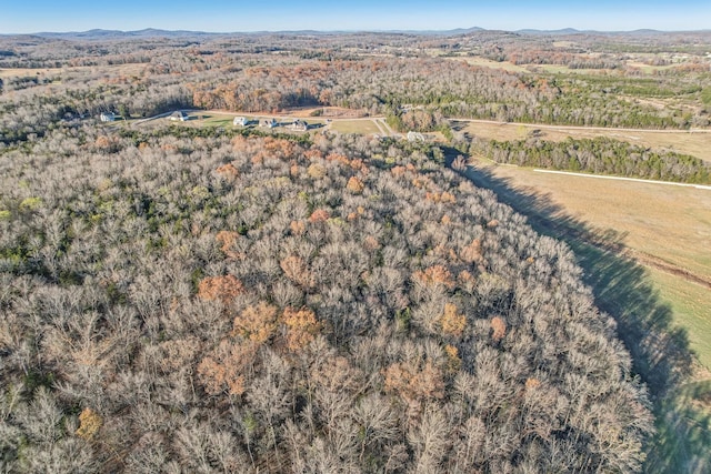 drone / aerial view with a mountain view