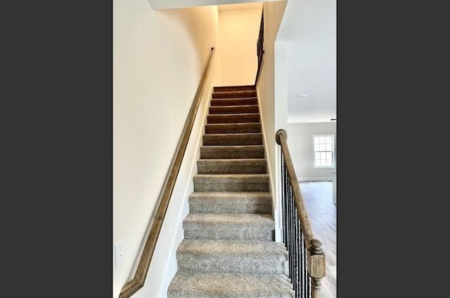 staircase featuring wood-type flooring