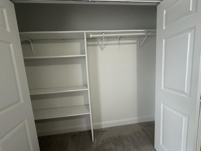 view of closet