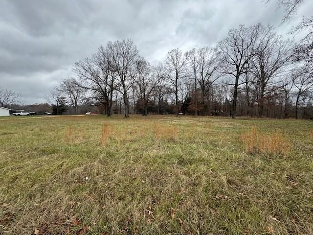 0 Old County House Rd, Charlotte, TN 37036 - photo 2