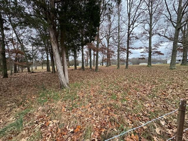 0 Old County House Rd, Charlotte, TN 37036 - photo 7