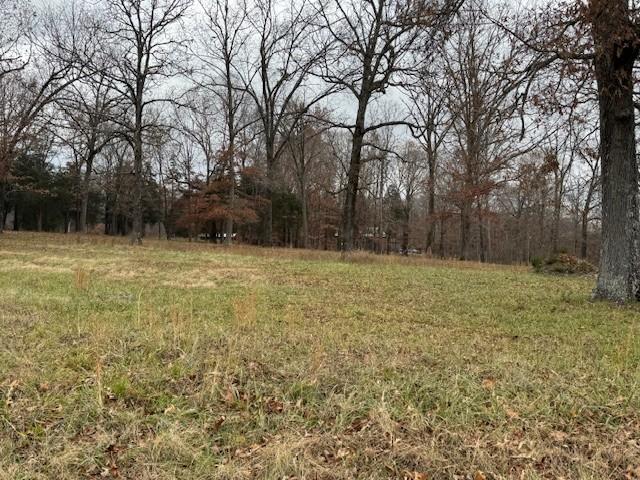 0 Old County House Rd, Charlotte, TN 37036 - photo 4
