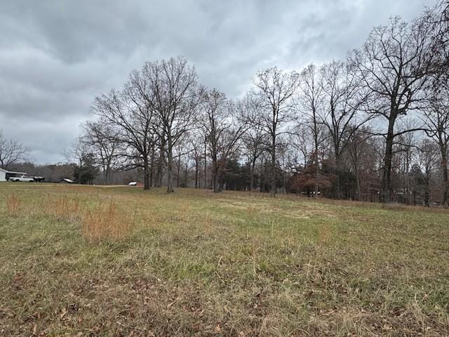0 Old County House Rd, Charlotte, TN 37036 - photo 5