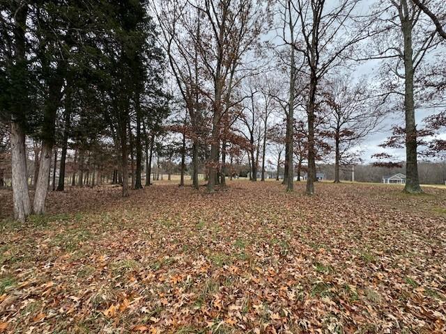 0 Old County House Rd, Charlotte, TN 37036 - photo 8