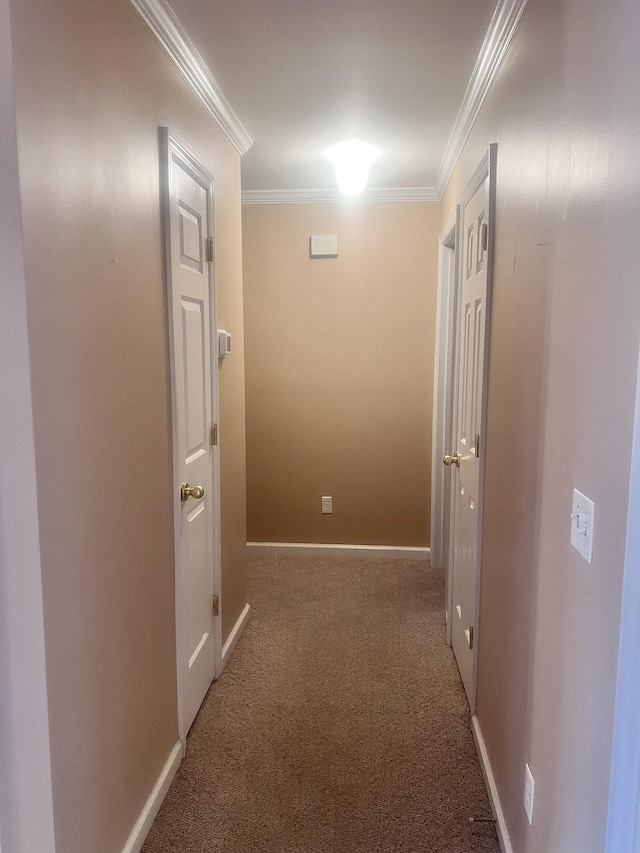 hall featuring carpet floors and ornamental molding