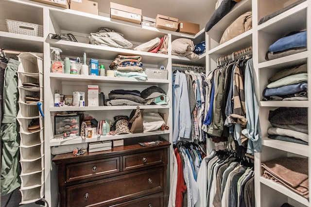 view of spacious closet