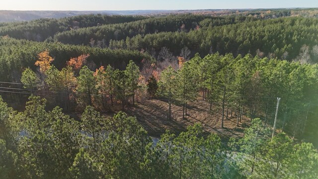252 Streamside Dr, Linden, TN 37096 - photo 9