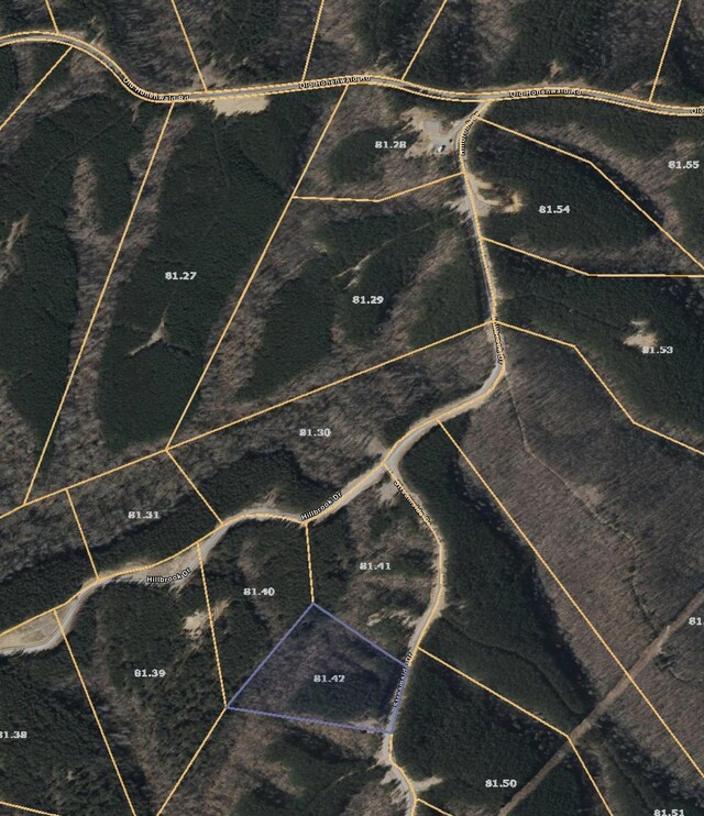 252 Streamside Dr, Linden, TN 37096 - photo 11