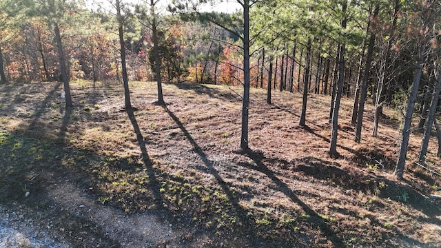 252 Streamside Dr, Linden, TN 37096 - photo 1