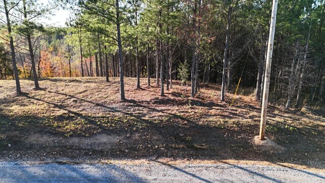 252 Streamside Dr, Linden, TN 37096 - photo 6