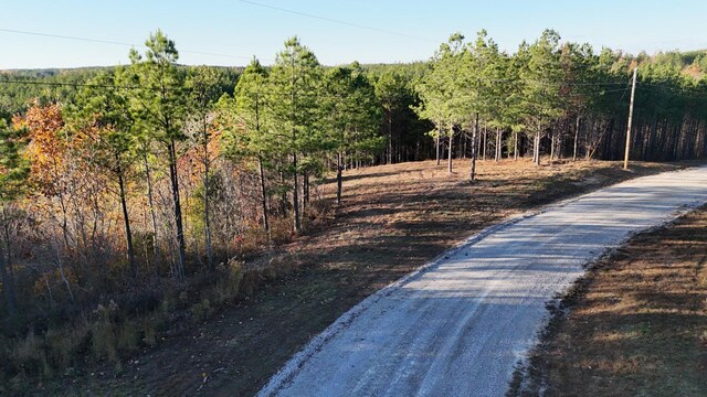 252 Streamside Dr, Linden, TN 37096 - photo 8