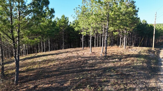 252 Streamside Dr, Linden, TN 37096 - photo 7