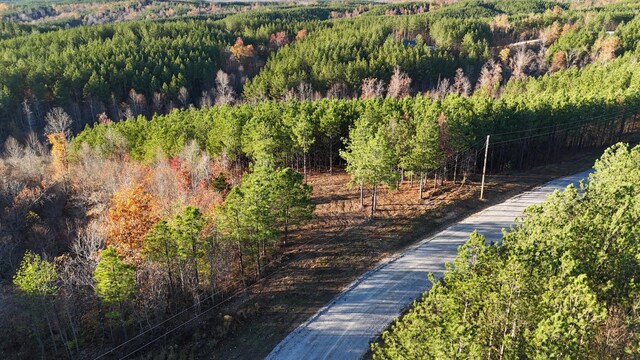 252 Streamside Dr, Linden, TN 37096 - photo 4