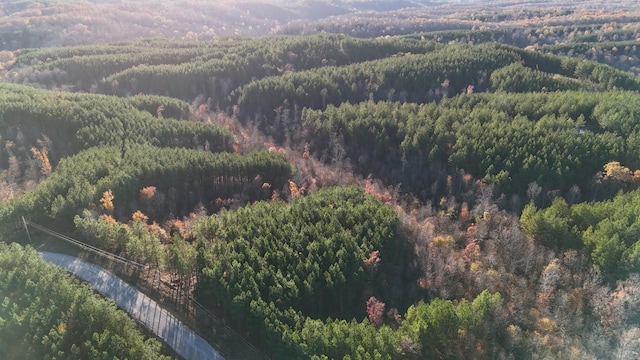 252 Streamside Dr, Linden, TN 37096 - photo 2