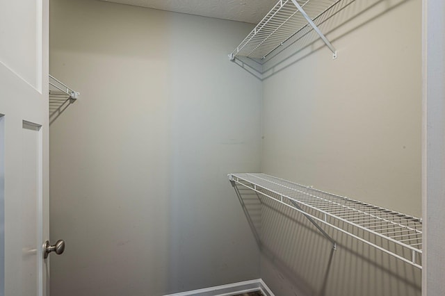 view of walk in closet