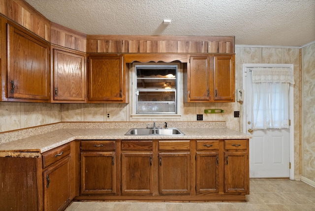 kitchen with a textured ceiling and sink