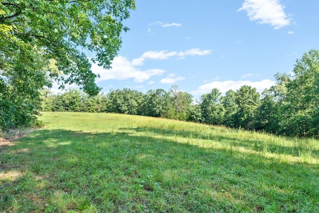 Listing photo 2 for 0 Herman Adams Rd, Cumberland City TN 37050