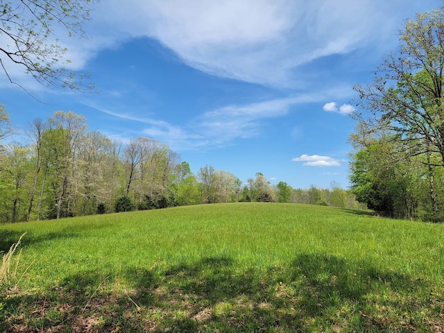 Listing photo 2 for 0 Herman Adams Rd, Cumberland City TN 37050