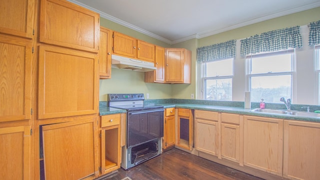 kitchen with range with electric stovetop, dark hardwood / wood-style flooring, sink, and ornamental molding