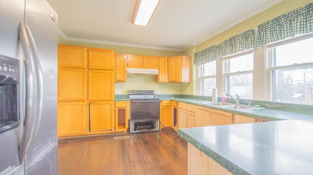 kitchen with sink, crown molding, dark hardwood / wood-style flooring, and stainless steel appliances