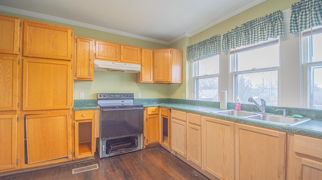 kitchen featuring a wealth of natural light, dark hardwood / wood-style floors, range with electric stovetop, and sink