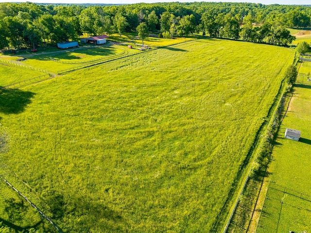 view of yard featuring a rural view