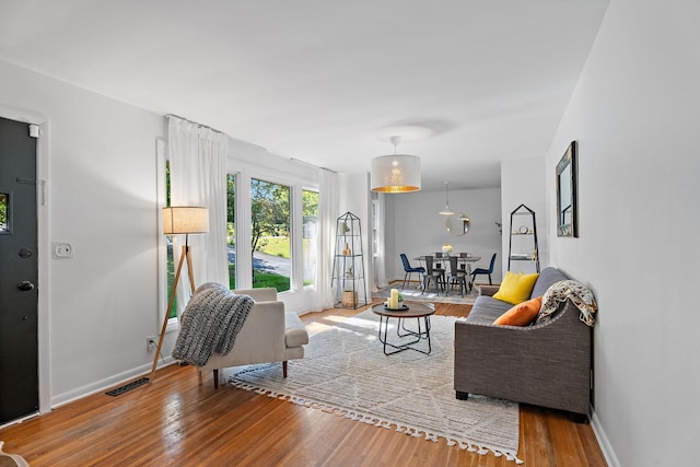 living room with wood-type flooring