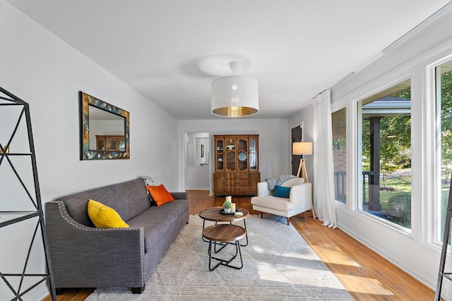 living room with hardwood / wood-style flooring